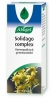 VOGEL SOLIDAGO COMPLEX 100ML